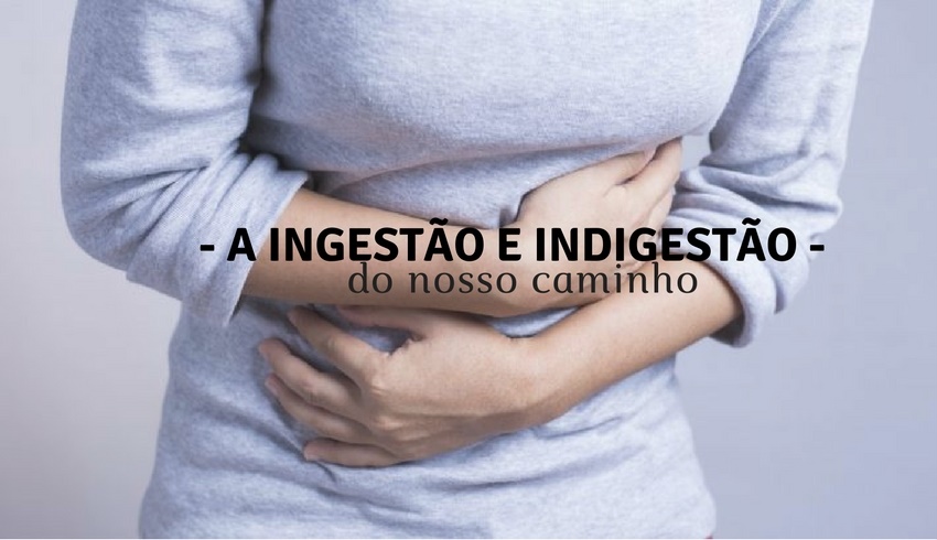 IngestaoDigestao